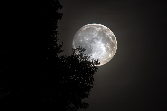 'full moon madness'  http://goo.gl/VOs89H